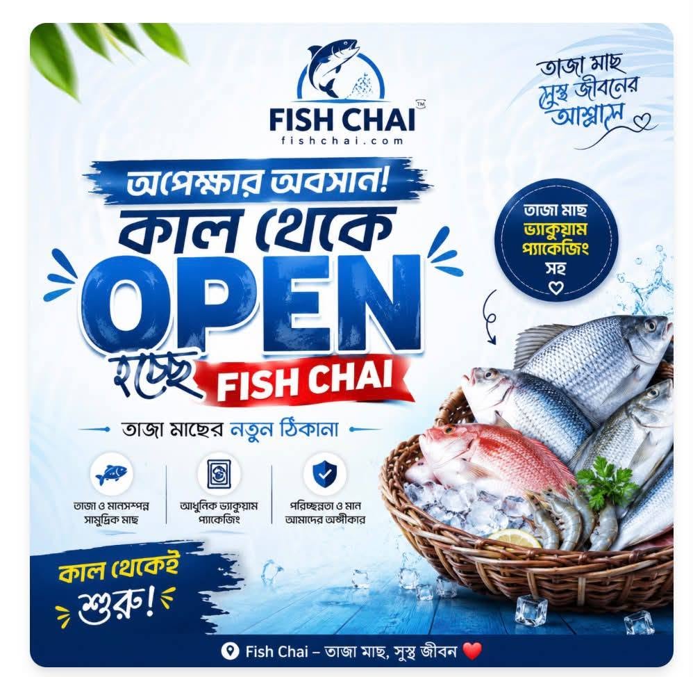 fishchai.com promo