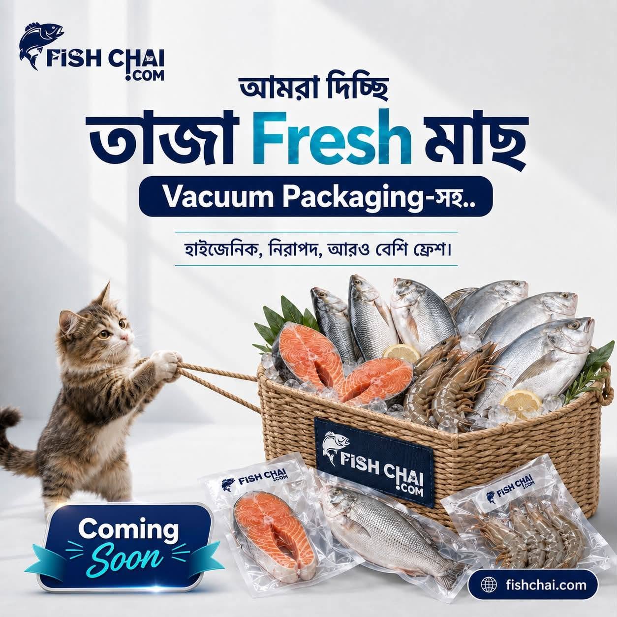 fishchai.com promo