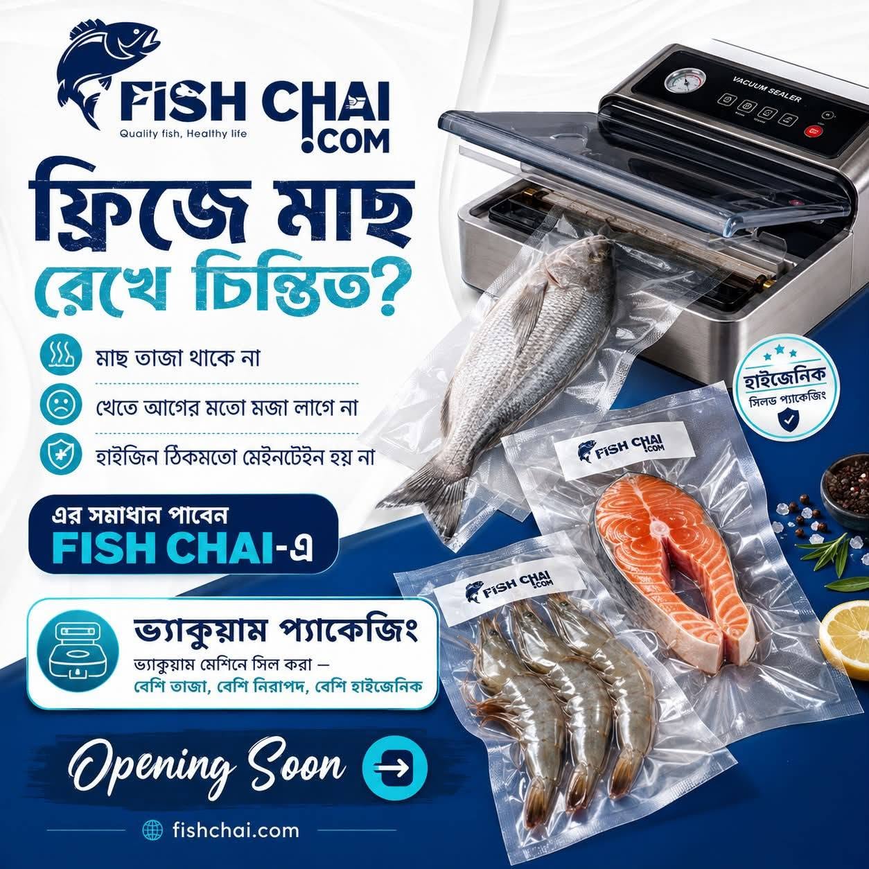 fishchai.com promo