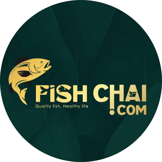 fishchai.com