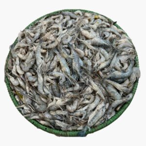 Kathali Prawn (কাঠালি চিংড়ী)