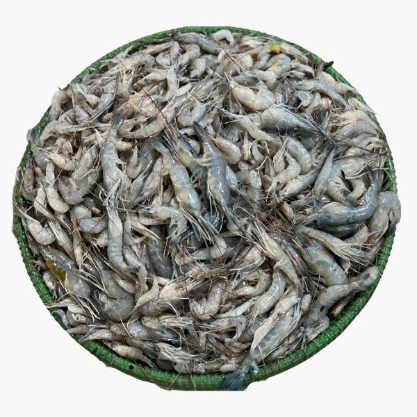 Kathali Prawn (কাঠালি চিংড়ী)