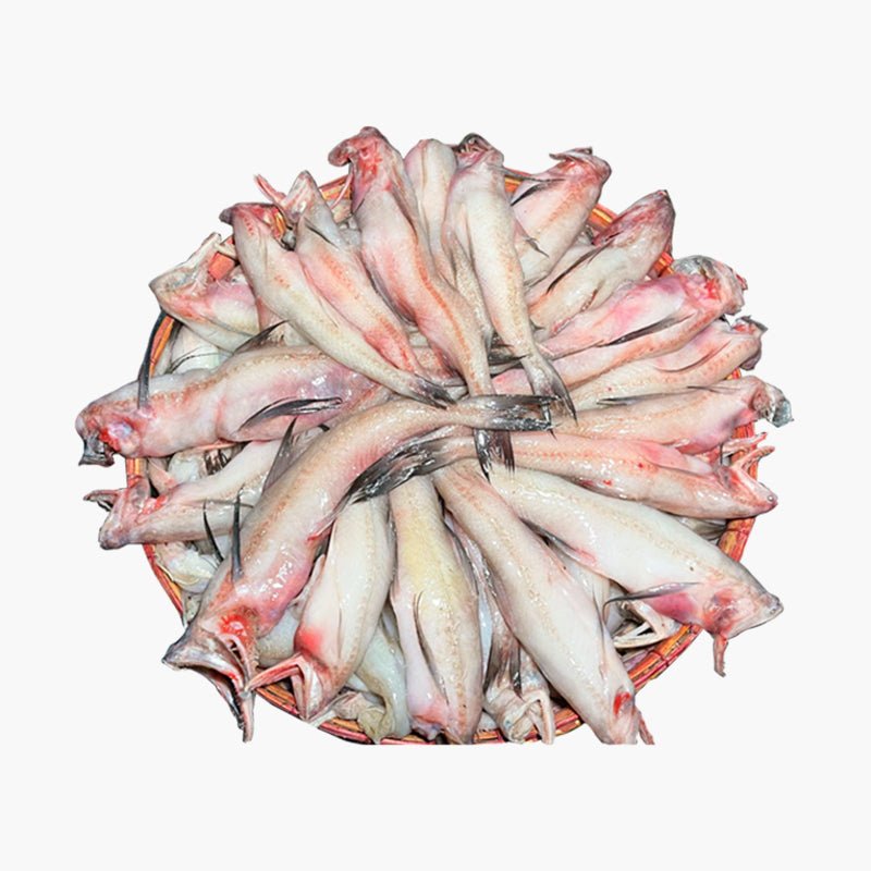 Lotia Fish (লইট্টা মাছ) - Cut & Clean । Weight: 500gm packet