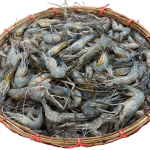 Mou Kathali (মৌ কাঠালি)