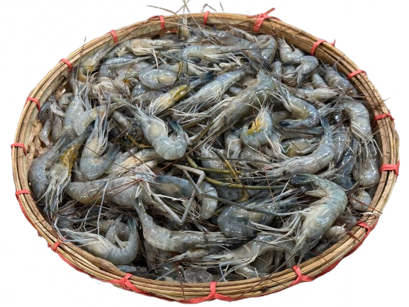 Mou Kathali (মৌ কাঠালি)