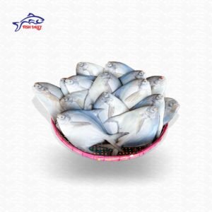 Rupchanda (রূপচাঁদা)