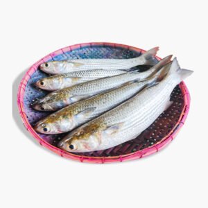 Vangon Fish (ভাঙ্গন মাছ)