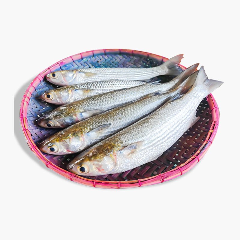 Vangon Fish (ভাঙ্গন মাছ)